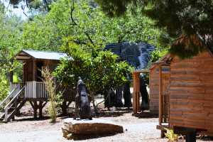 carrick hill 2014 (11)